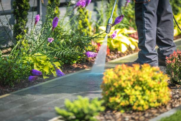Trusted Strawberry Point, IA Pressure Washing Services Experts